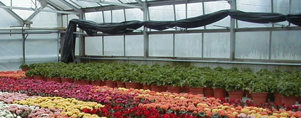 Horticultural jobs in san diego