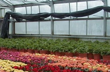 Horticulture Jobs