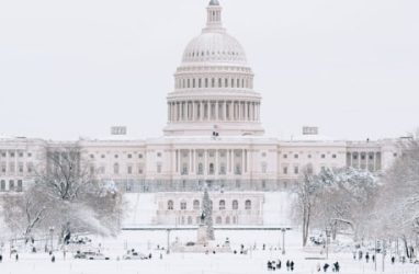 Federal Government